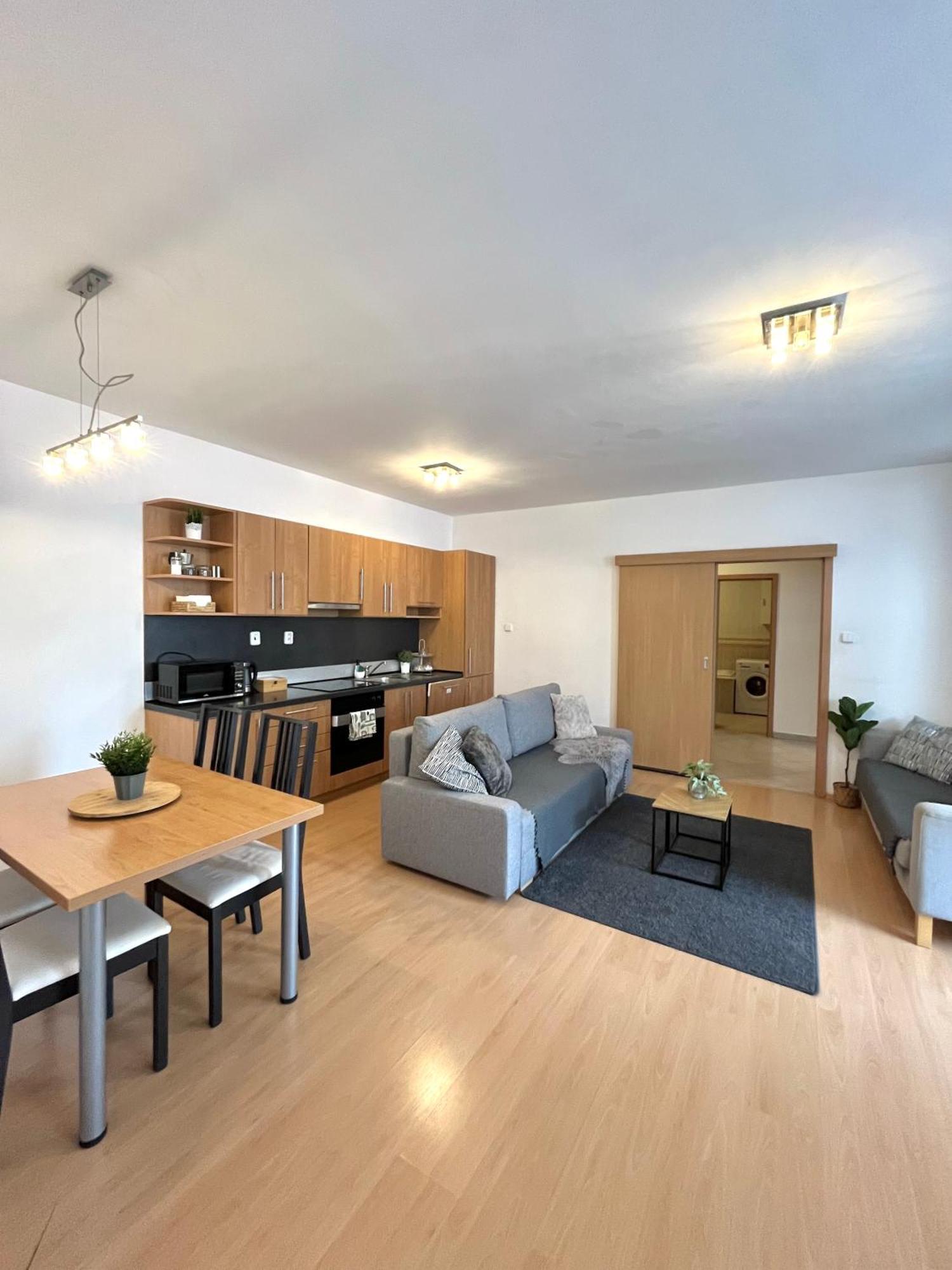 Apartment Tina - Old Town, Ac, Free Private Parking Bratislava Extérieur photo